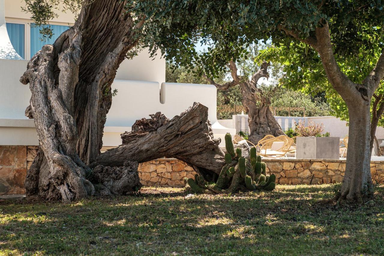 Villa Al Mare Sea, Relax & Wellness Monopoli Esterno foto